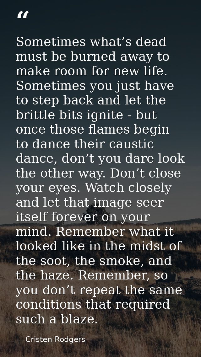 Sometimes what’s dead must be burned away to make room for new life. Sometimes you just have to step back and let the br — Cristen Rodgers