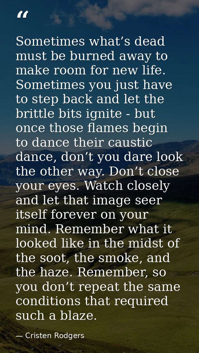 Sometimes what’s dead must be burned away to make room for new life. Sometimes you just have to step back and let the br — Cristen Rodgers