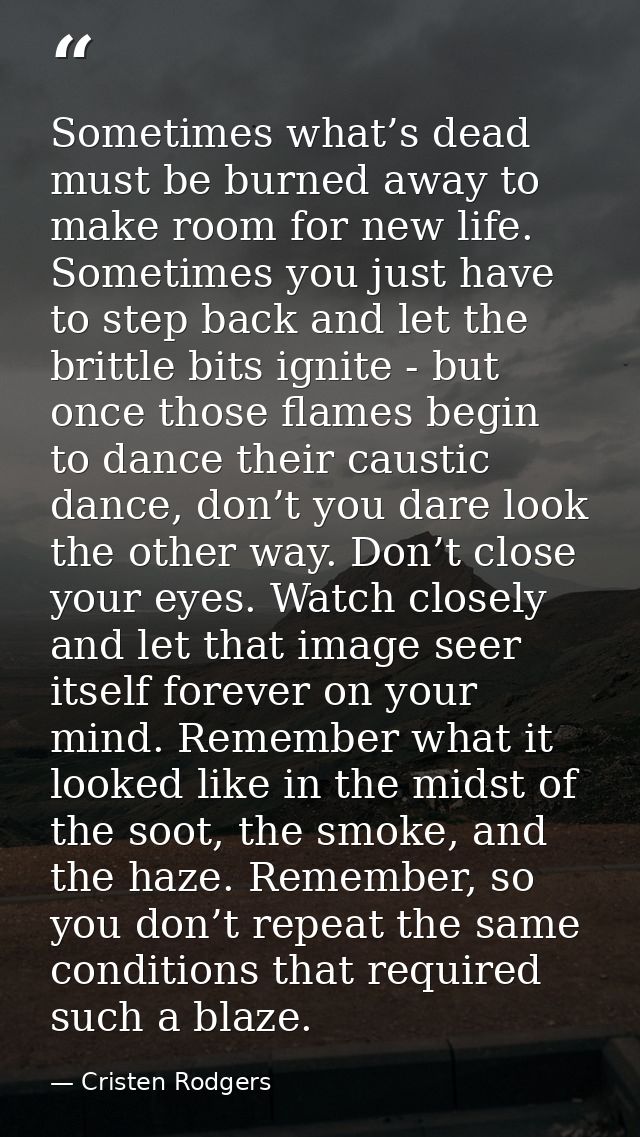 Sometimes what’s dead must be burned away to make room for new life. Sometimes you just have to step back and let the br — Cristen Rodgers