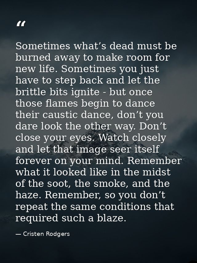 Sometimes what’s dead must be burned away to make room for new life. Sometimes you just have to step back and let the br — Cristen Rodgers