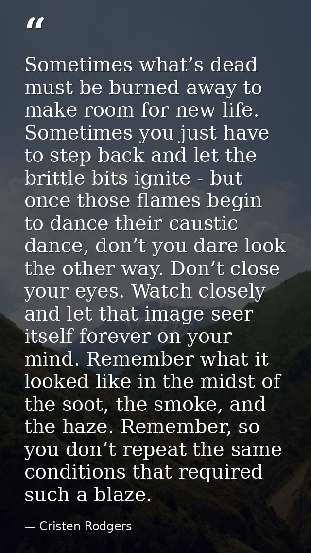Sometimes what’s dead must be burned away to make room for new life. Sometimes you just have to step back and let the br — Cristen Rodgers