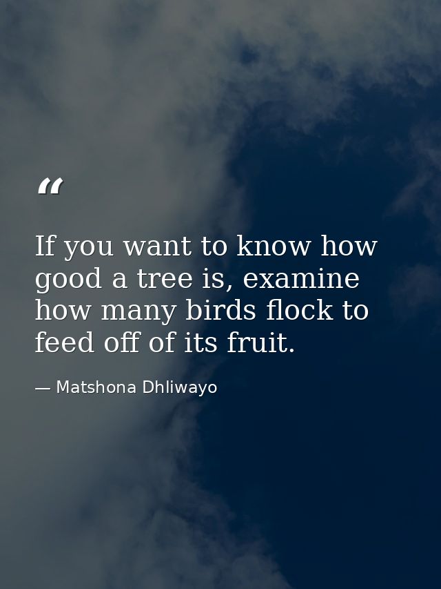 If you want to know how good a tree is, examine how many birds flock to feed off of its fruit. — Matshona Dhliwayo
