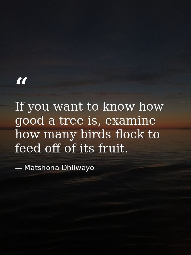 If you want to know how good a tree is, examine how many birds flock to feed off of its fruit. — Matshona Dhliwayo