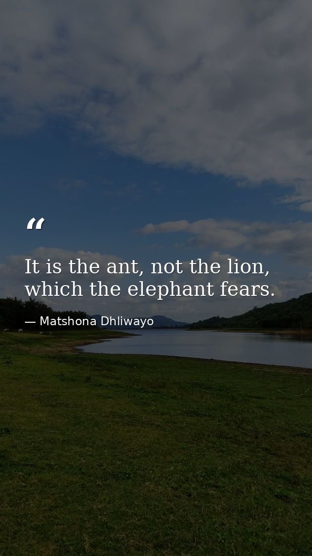 It is the ant, not the lion, which the elephant fears. — Matshona Dhliwayo