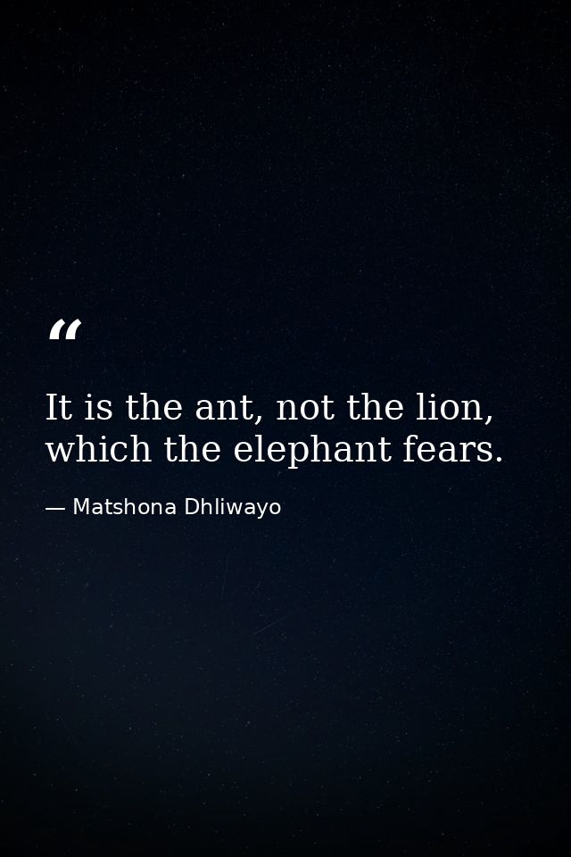 It is the ant, not the lion, which the elephant fears. — Matshona Dhliwayo