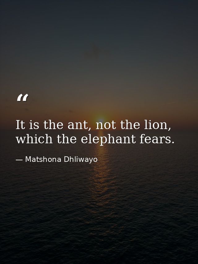 It is the ant, not the lion, which the elephant fears. — Matshona Dhliwayo