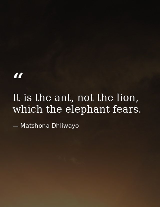 It is the ant, not the lion, which the elephant fears. — Matshona Dhliwayo