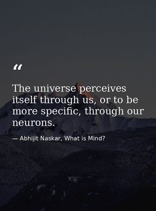 ​The universe perceives itself through us, or to be more specific, through our neurons. — Abhijit Naskar, What is Mind?