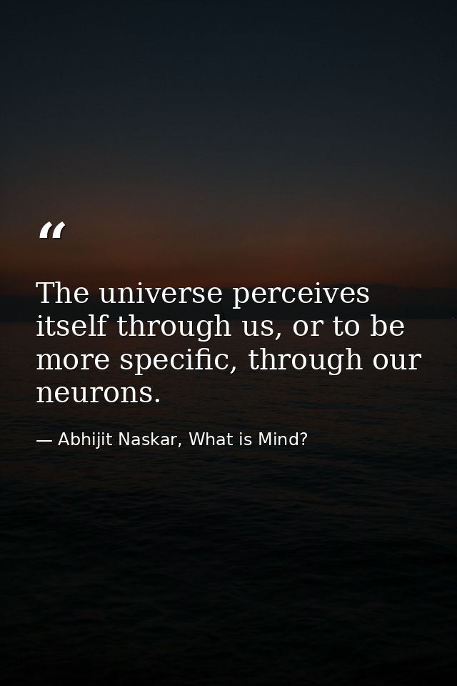 ​The universe perceives itself through us, or to be more specific, through our neurons. — Abhijit Naskar, What is Mind?