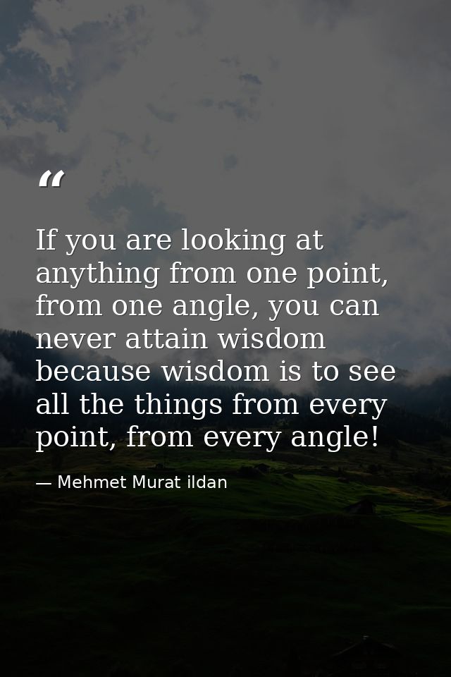If you are looking at anything from one point, from one angle, you can never attain wisdom because wisdom is to see all  — Mehmet Murat ildan