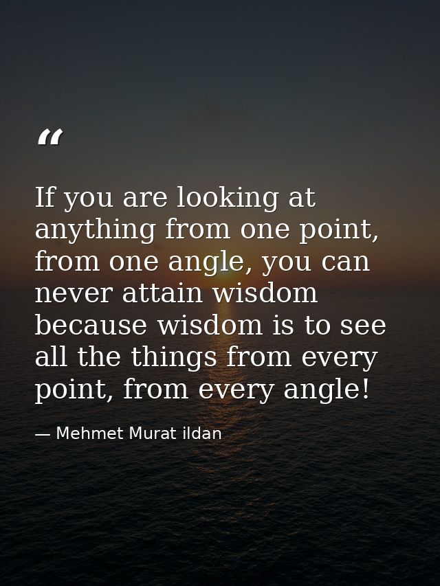 If you are looking at anything from one point, from one angle, you can never attain wisdom because wisdom is to see all  — Mehmet Murat ildan