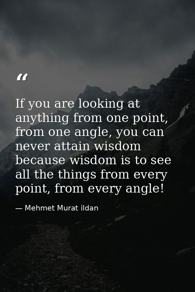 If you are looking at anything from one point, from one angle, you can never attain wisdom because wisdom is to see all  — Mehmet Murat ildan