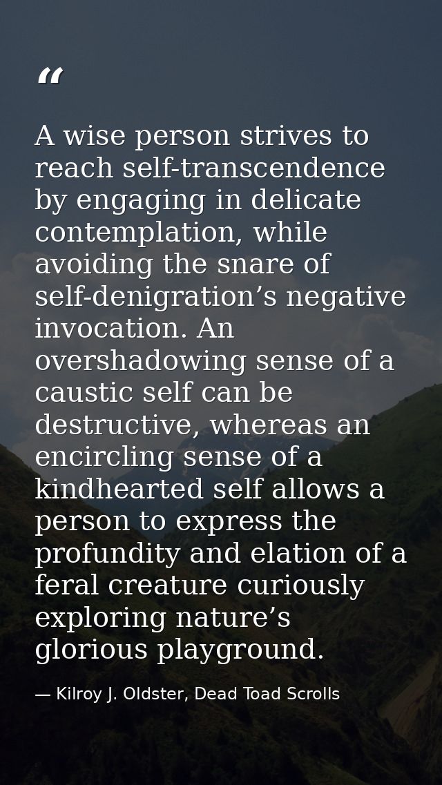 A wise person strives to reach self-transcendence by engaging in delicate contemplation, while avoiding the snare of sel — Kilroy J. Oldster, Dead Toad Scrolls