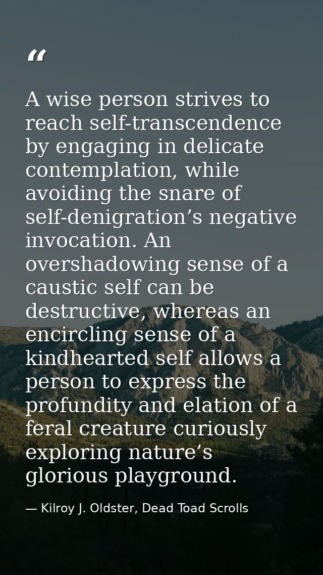 A wise person strives to reach self-transcendence by engaging in delicate contemplation, while avoiding the snare of sel — Kilroy J. Oldster, Dead Toad Scrolls