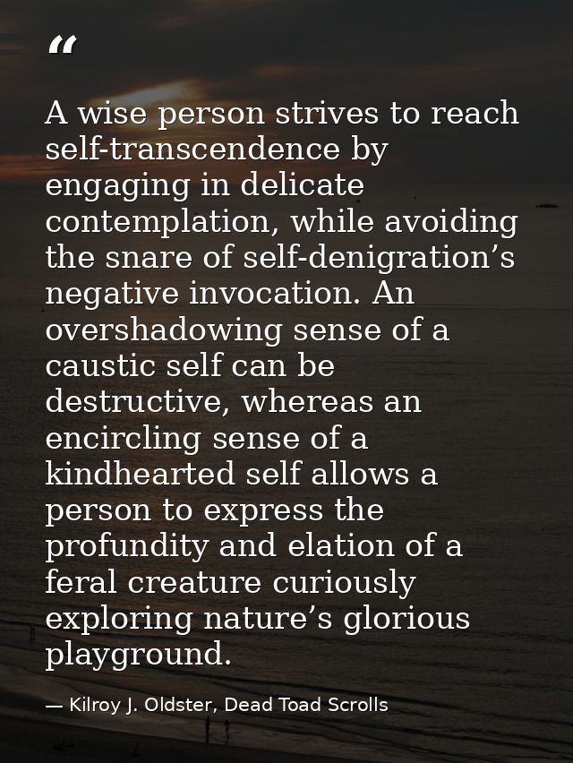 A wise person strives to reach self-transcendence by engaging in delicate contemplation, while avoiding the snare of sel — Kilroy J. Oldster, Dead Toad Scrolls