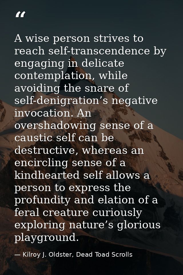 A wise person strives to reach self-transcendence by engaging in delicate contemplation, while avoiding the snare of sel — Kilroy J. Oldster, Dead Toad Scrolls