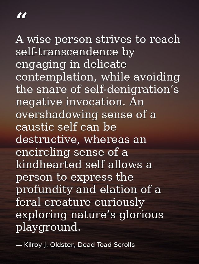 A wise person strives to reach self-transcendence by engaging in delicate contemplation, while avoiding the snare of sel — Kilroy J. Oldster, Dead Toad Scrolls