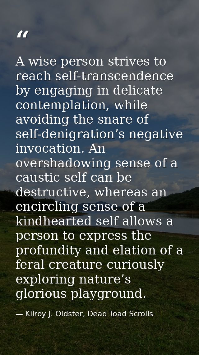 A wise person strives to reach self-transcendence by engaging in delicate contemplation, while avoiding the snare of sel — Kilroy J. Oldster, Dead Toad Scrolls