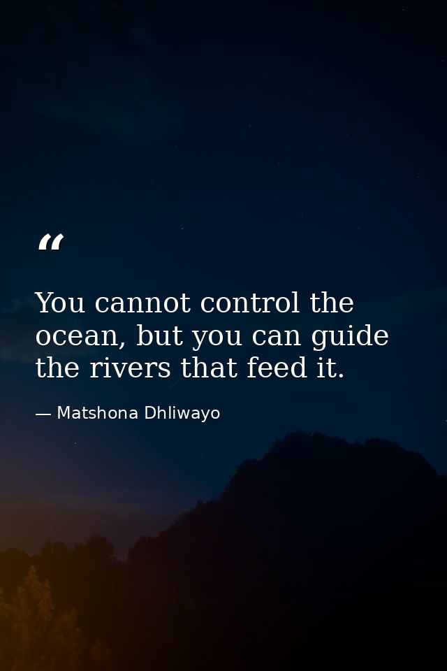 You cannot control the ocean, but you can guide the rivers that feed it. — Matshona Dhliwayo