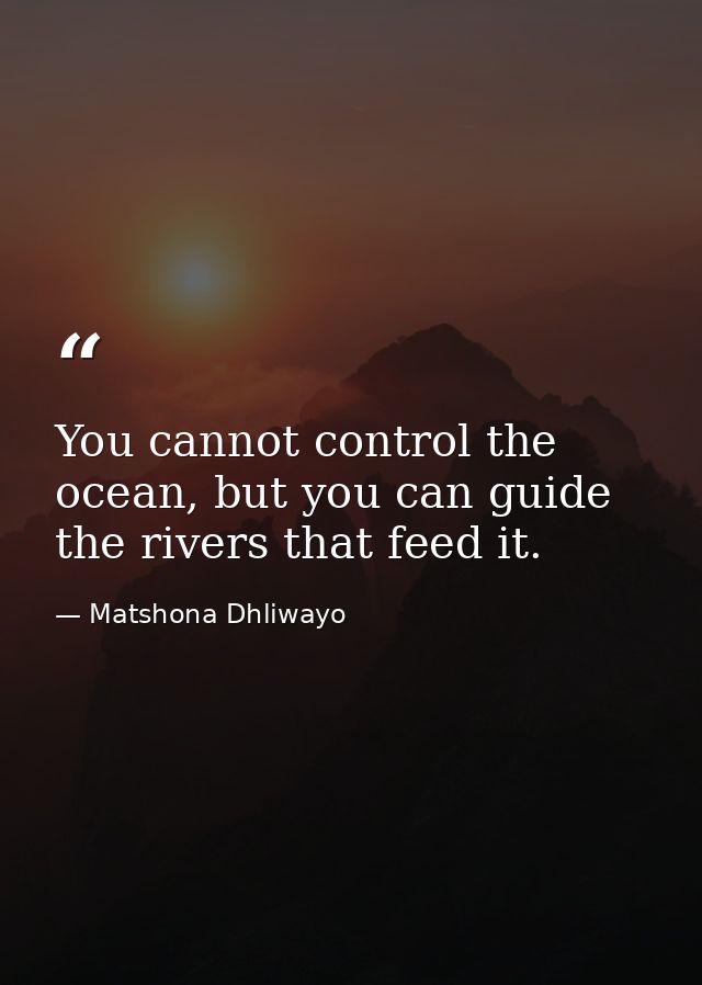 You cannot control the ocean, but you can guide the rivers that feed it. — Matshona Dhliwayo