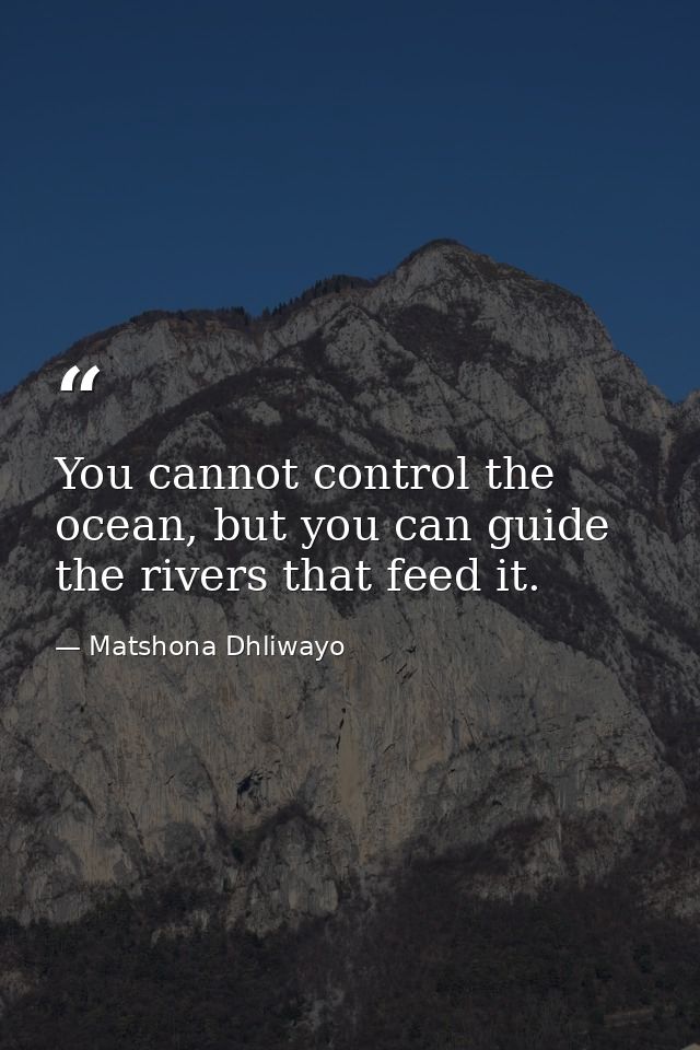 You cannot control the ocean, but you can guide the rivers that feed it. — Matshona Dhliwayo