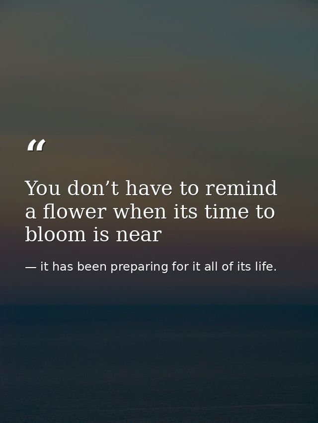 You don’t have to remind a flower when its time to bloom is near — it has been preparing for it all of its life.
