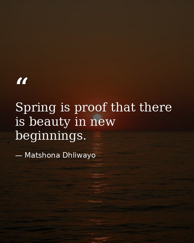Spring is proof that there is beauty in new beginnings. — Matshona Dhliwayo