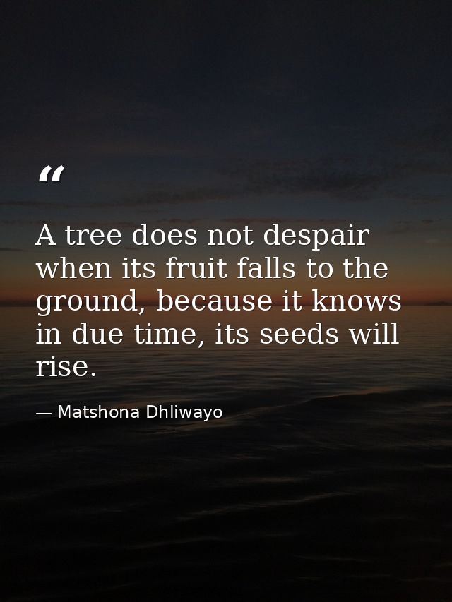 A tree does not despair when its fruit falls to the ground, because it knows in due time, its seeds will rise. — Matshona Dhliwayo