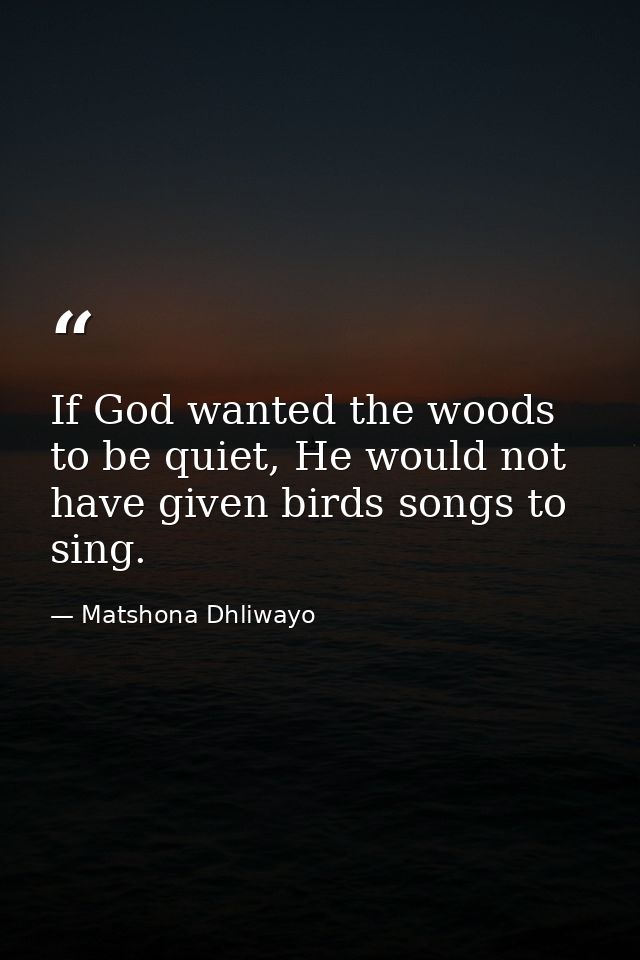 If God wanted the woods to be quiet, He would not have given birds songs to sing. — Matshona Dhliwayo