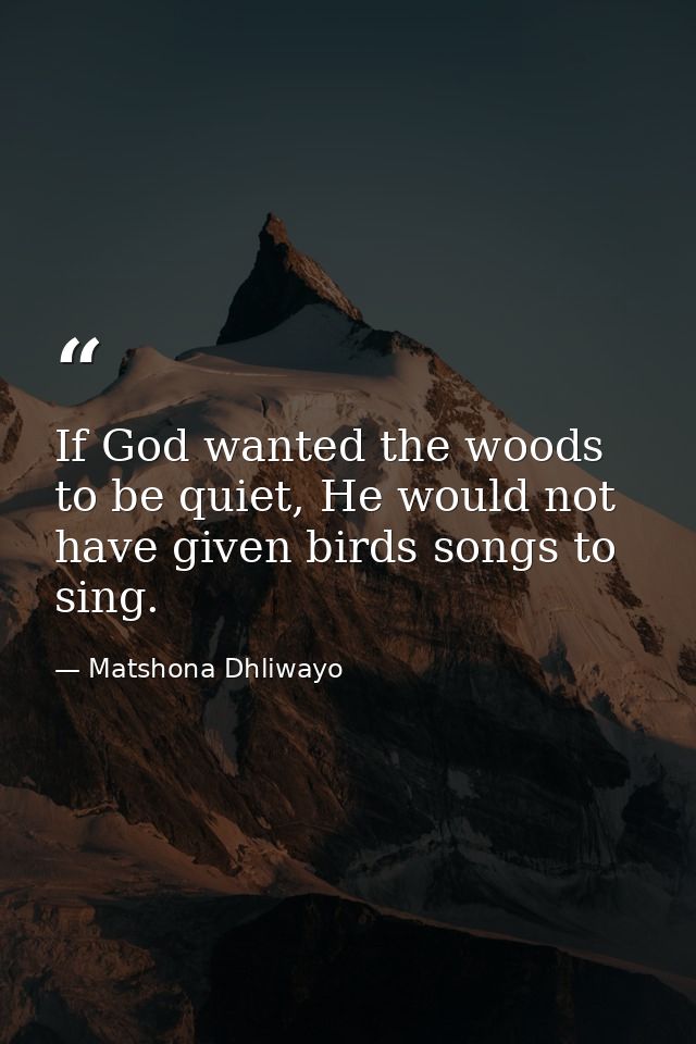 If God wanted the woods to be quiet, He would not have given birds songs to sing. — Matshona Dhliwayo
