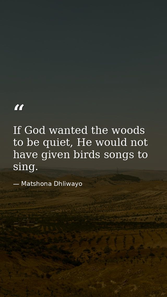 If God wanted the woods to be quiet, He would not have given birds songs to sing. — Matshona Dhliwayo