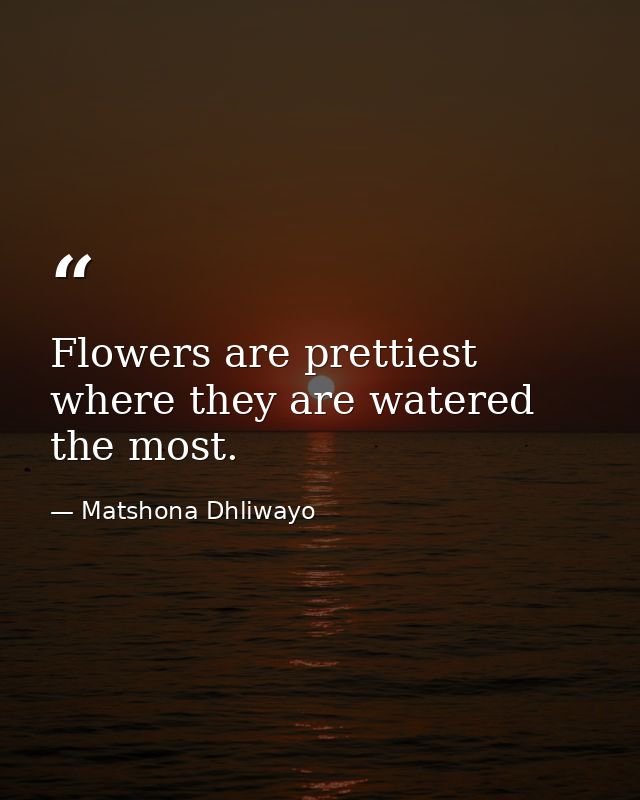 Flowers are prettiest where they are watered the most. — Matshona Dhliwayo