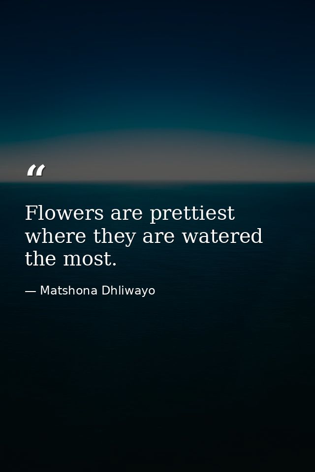 Flowers are prettiest where they are watered the most. — Matshona Dhliwayo