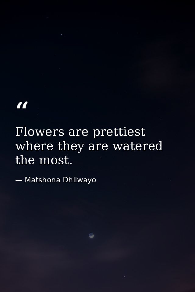 Flowers are prettiest where they are watered the most. — Matshona Dhliwayo