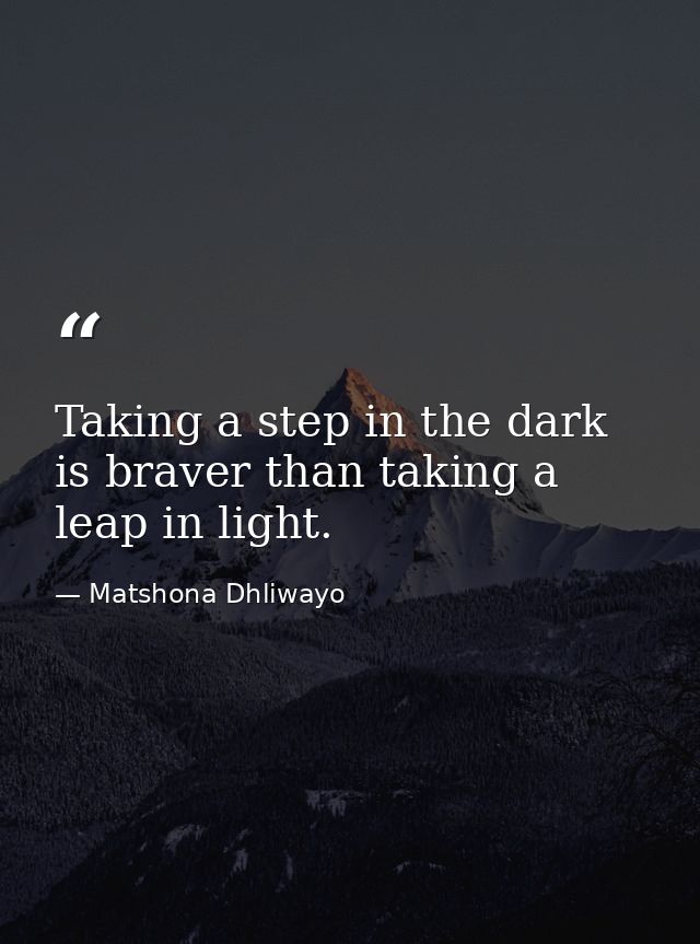 Taking a step in the dark is braver than taking a leap in light. — Matshona Dhliwayo
