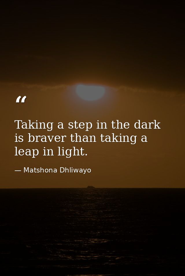 Taking a step in the dark is braver than taking a leap in light. — Matshona Dhliwayo