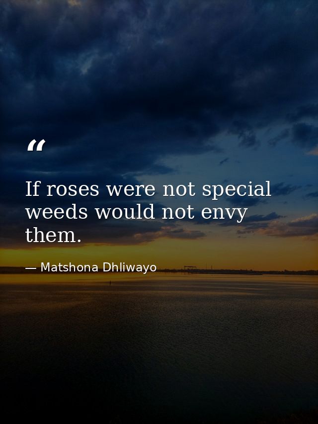 If roses were not special weeds would not envy them. — Matshona Dhliwayo