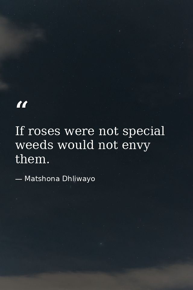 If roses were not special weeds would not envy them. — Matshona Dhliwayo