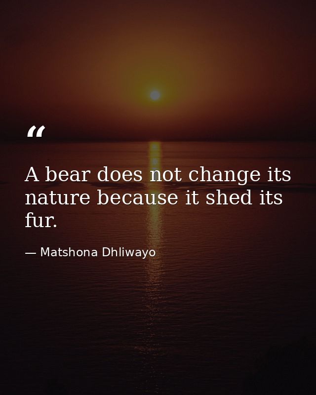 A bear does not change its nature because it shed its fur. — Matshona Dhliwayo