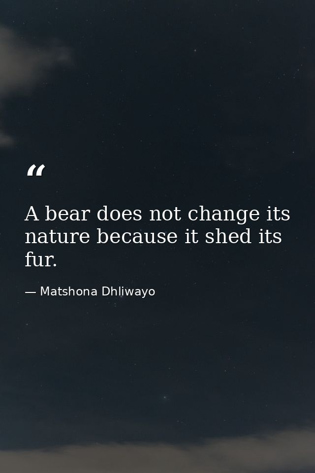 A bear does not change its nature because it shed its fur. — Matshona Dhliwayo