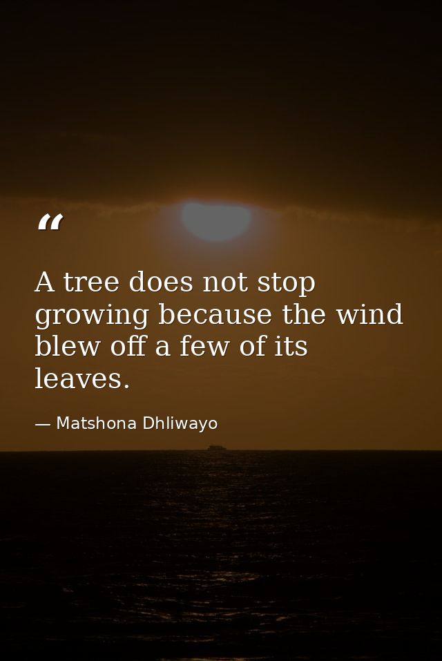 A tree does not stop growing because the wind blew off a few of its leaves. — Matshona Dhliwayo