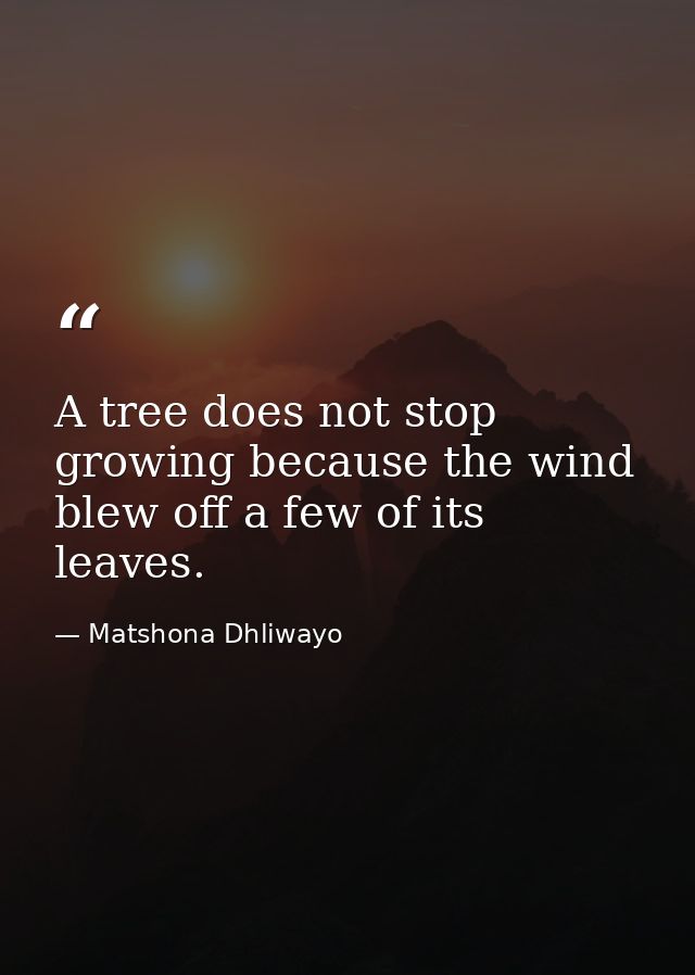A tree does not stop growing because the wind blew off a few of its leaves. — Matshona Dhliwayo