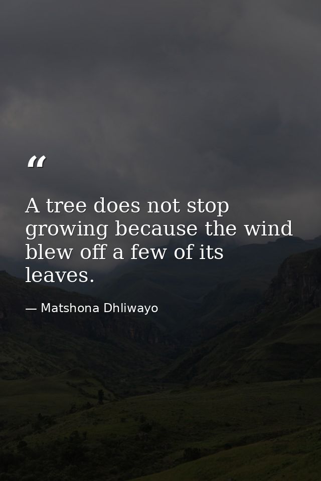 A tree does not stop growing because the wind blew off a few of its leaves. — Matshona Dhliwayo