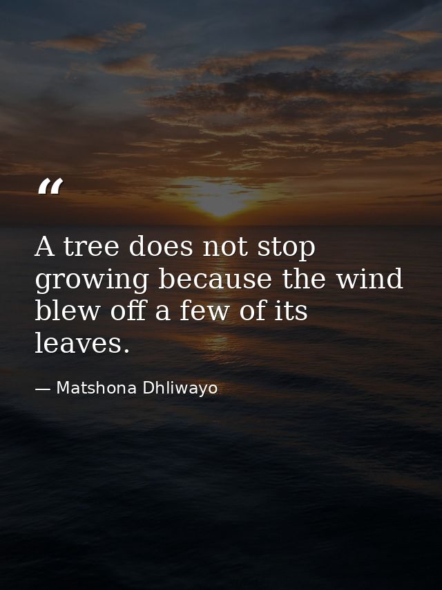 A tree does not stop growing because the wind blew off a few of its leaves. — Matshona Dhliwayo