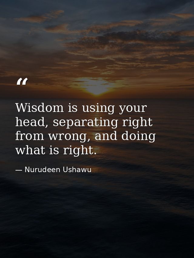 Wisdom is using your head, separating right from wrong, and doing what is right. — Nurudeen Ushawu