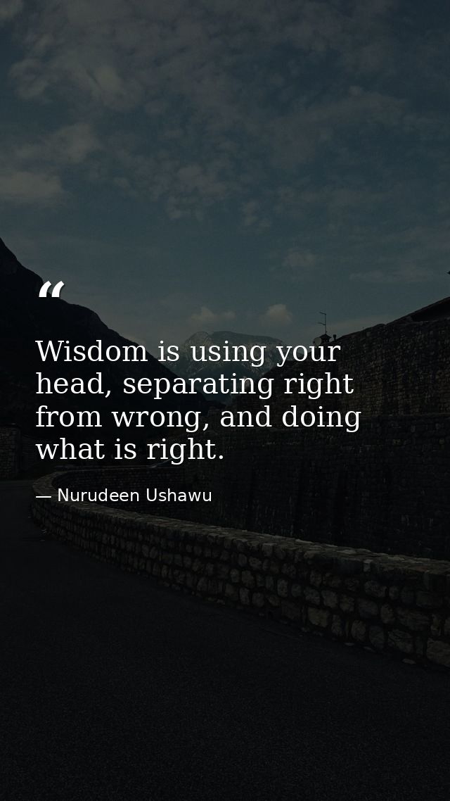 Wisdom is using your head, separating right from wrong, and doing what is right. — Nurudeen Ushawu