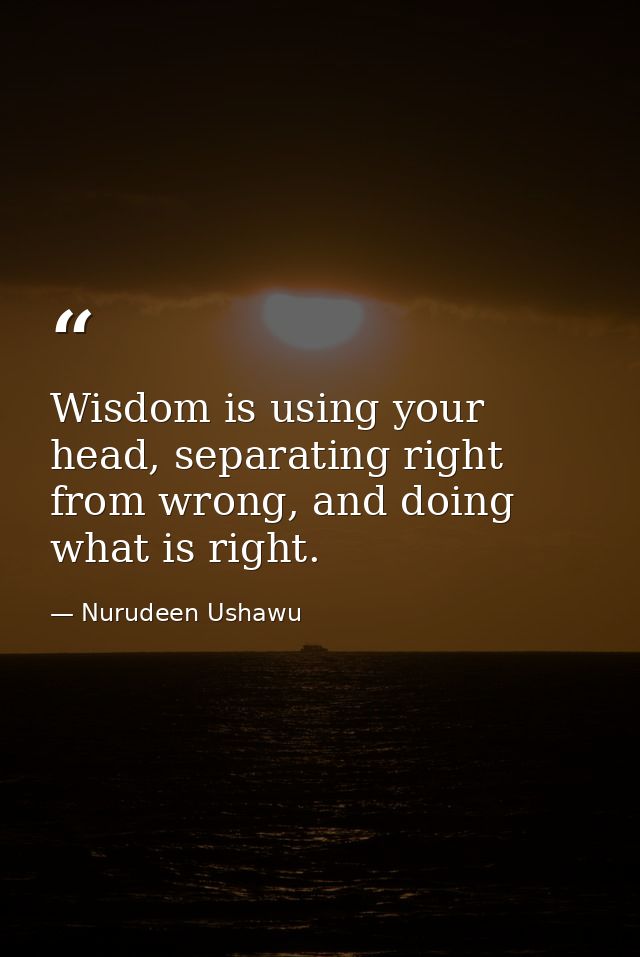 Wisdom is using your head, separating right from wrong, and doing what is right. — Nurudeen Ushawu