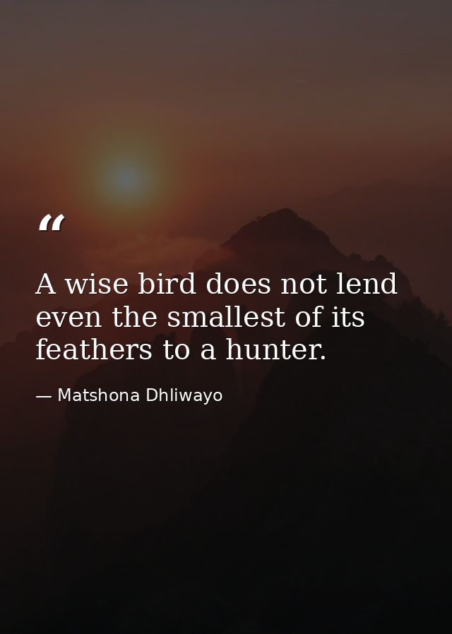 A wise bird does not lend even the smallest of its feathers to a hunter. — Matshona Dhliwayo