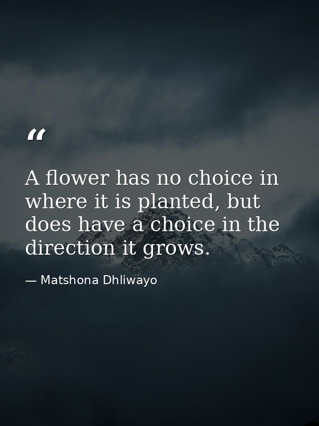 A flower has no choice in where it is planted, but does have a choice in the direction it grows. — Matshona Dhliwayo
