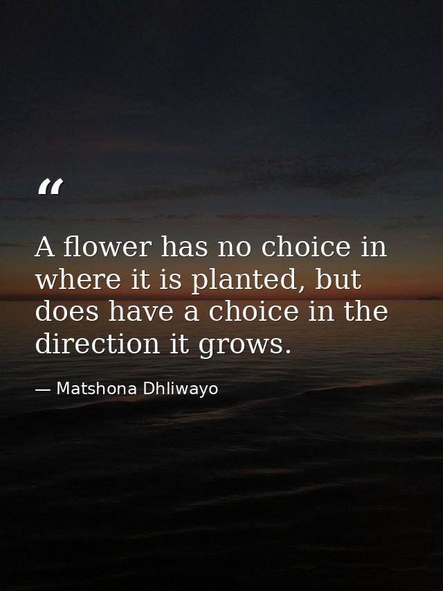 A flower has no choice in where it is planted, but does have a choice in the direction it grows. — Matshona Dhliwayo